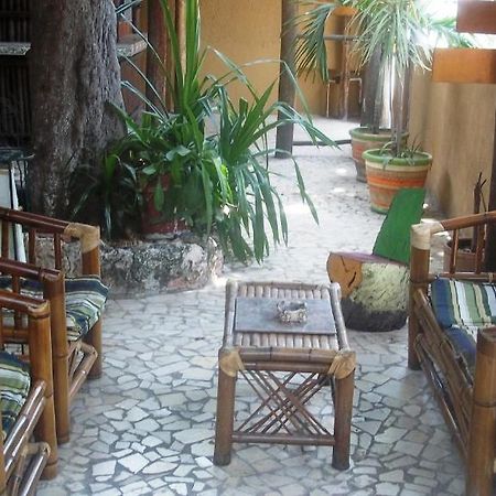 Mayan Hostel Cancún Extérieur photo
