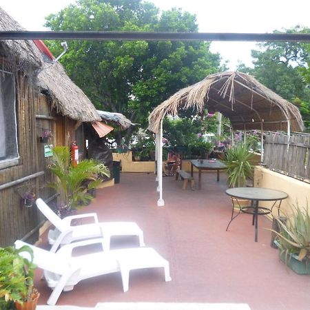 Mayan Hostel Cancún Extérieur photo