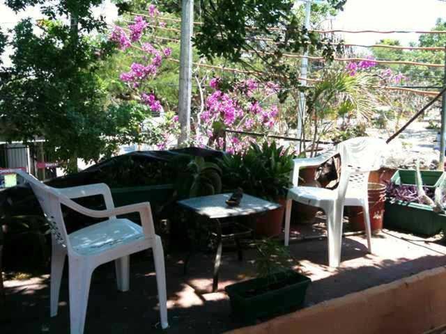 Mayan Hostel Cancún Extérieur photo