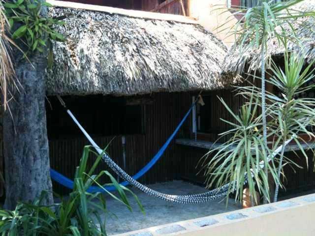 Mayan Hostel Cancún Extérieur photo