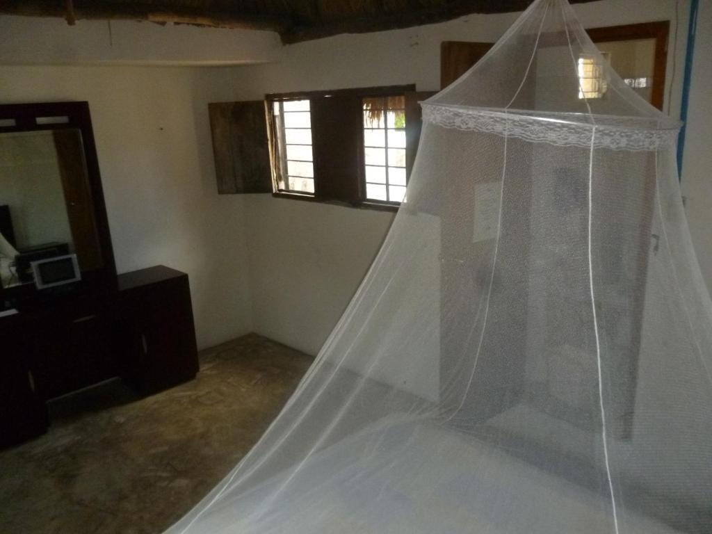 Mayan Hostel Cancún Extérieur photo