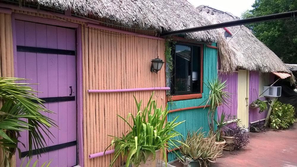 Mayan Hostel Cancún Extérieur photo
