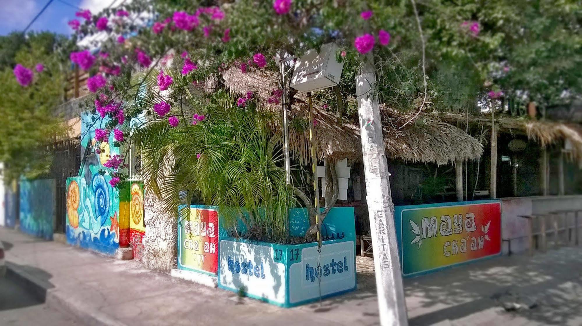 Mayan Hostel Cancún Extérieur photo
